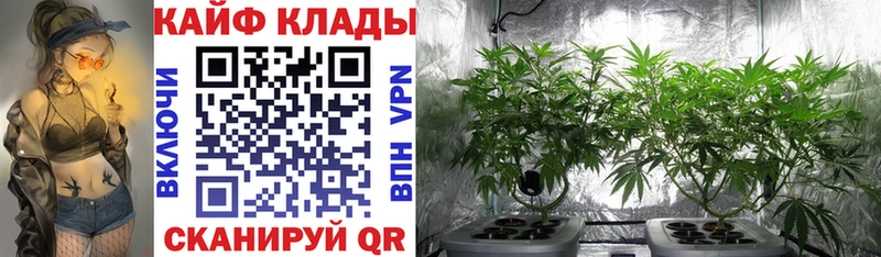 Купить наркотики цена Уссурийск НБОМе ГАШИШ Канабис omg ссылка A PVP