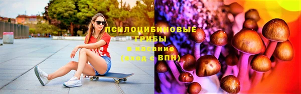 apvp Алексеевка