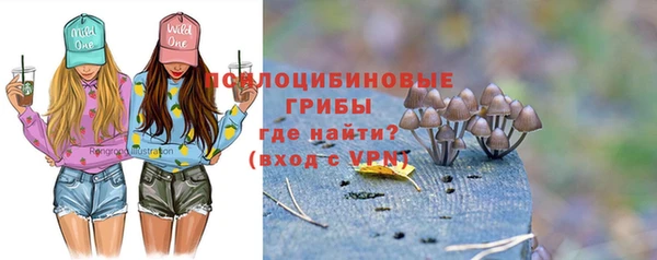 apvp Алексеевка