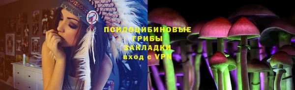 apvp Алексеевка