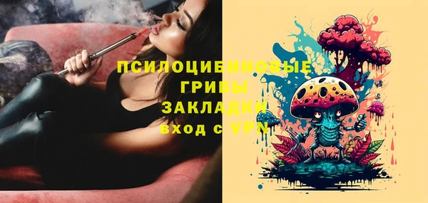 ешки Алексин