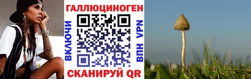 Псилоцибиновые грибы Psilocybe  закладка  площадка какой сайт  Уссурийск 