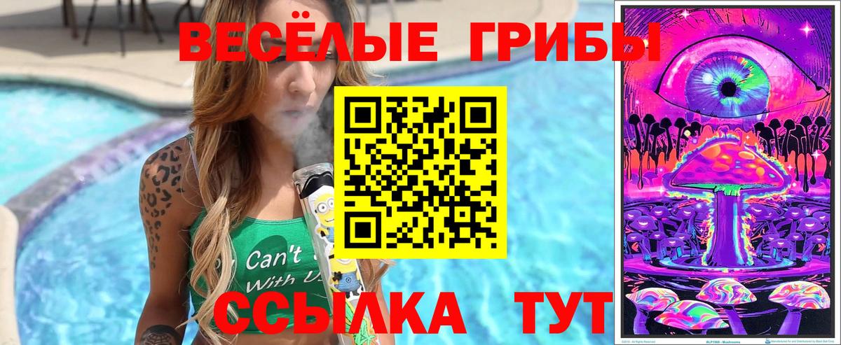 Псилоцибиновые грибы ЛСД  Псилоцибиновые грибы Psilocybine cubensis  Вход с VPN  Уссурийск 
