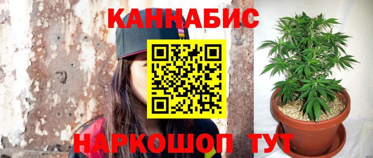 Бошки Шишки планчик Уссурийск